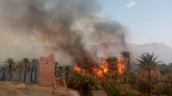 حريق مهول بإقليم زاكورة يخلف عدة خسائر مادية جسيمة